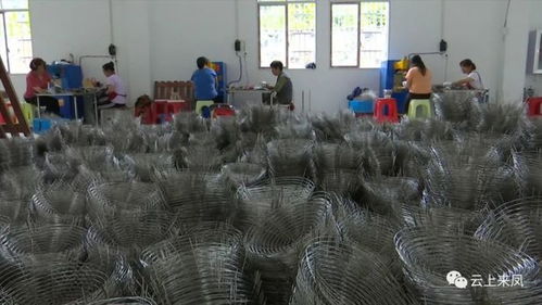 來(lái)鳳村五金制品加工廠喜迎500萬(wàn)大訂單，助力五金機(jī)電產(chǎn)業(yè)騰飛